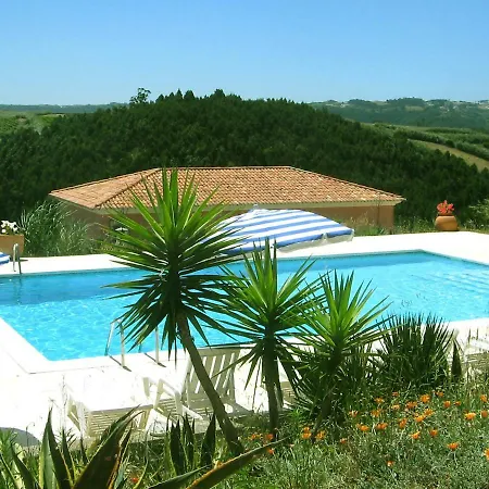 Buganvilia